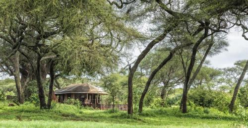 Africa; Tanzania; Tarangire National Park; Sanctuary Swala; Bedroom Exterior