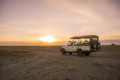 Africa; Tanzania; Sanctuary Kusini