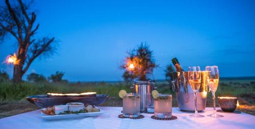 Africa; Tanzania; Sanctuary Swala