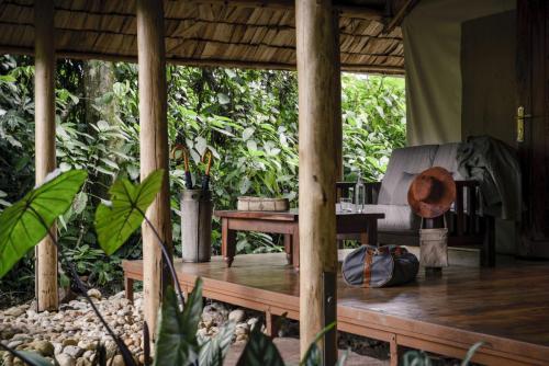 Uganda, Sanctuary Gorilla Forest Camp