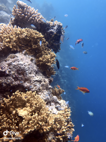 Screen Shot 2023-02-13 at 12.08.16 pm