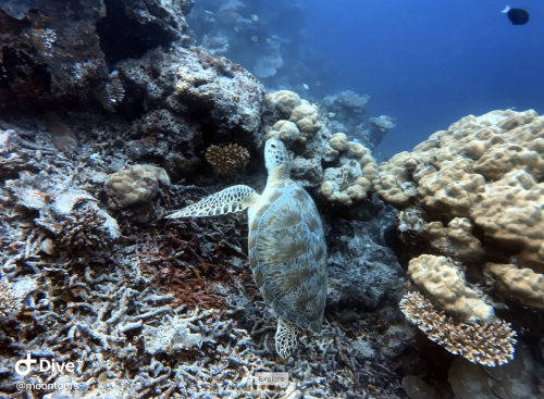 Screen Shot 2023-02-13 at 12.08.22 pm