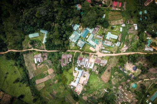 Uganda, Bwindi Impenetrable Forest, Gorilla Forest Camp