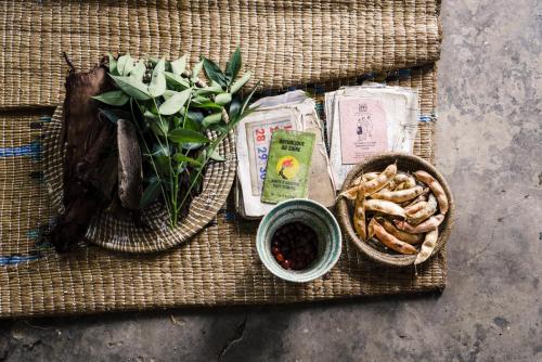 Uganda, Bwindi Impenetrable Forest, Gorilla Forest Camp