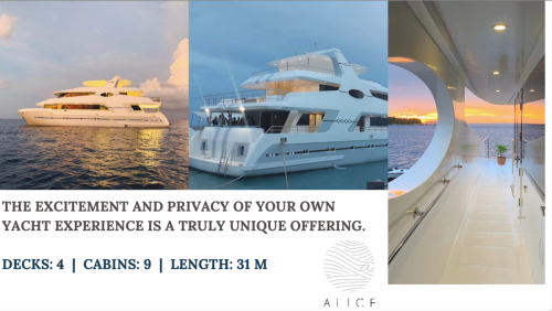 Screenshot-2023-11-08-at-3.52.43-pm